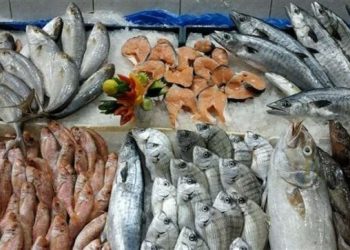 سعر الأسماك والمأكولات البحرية