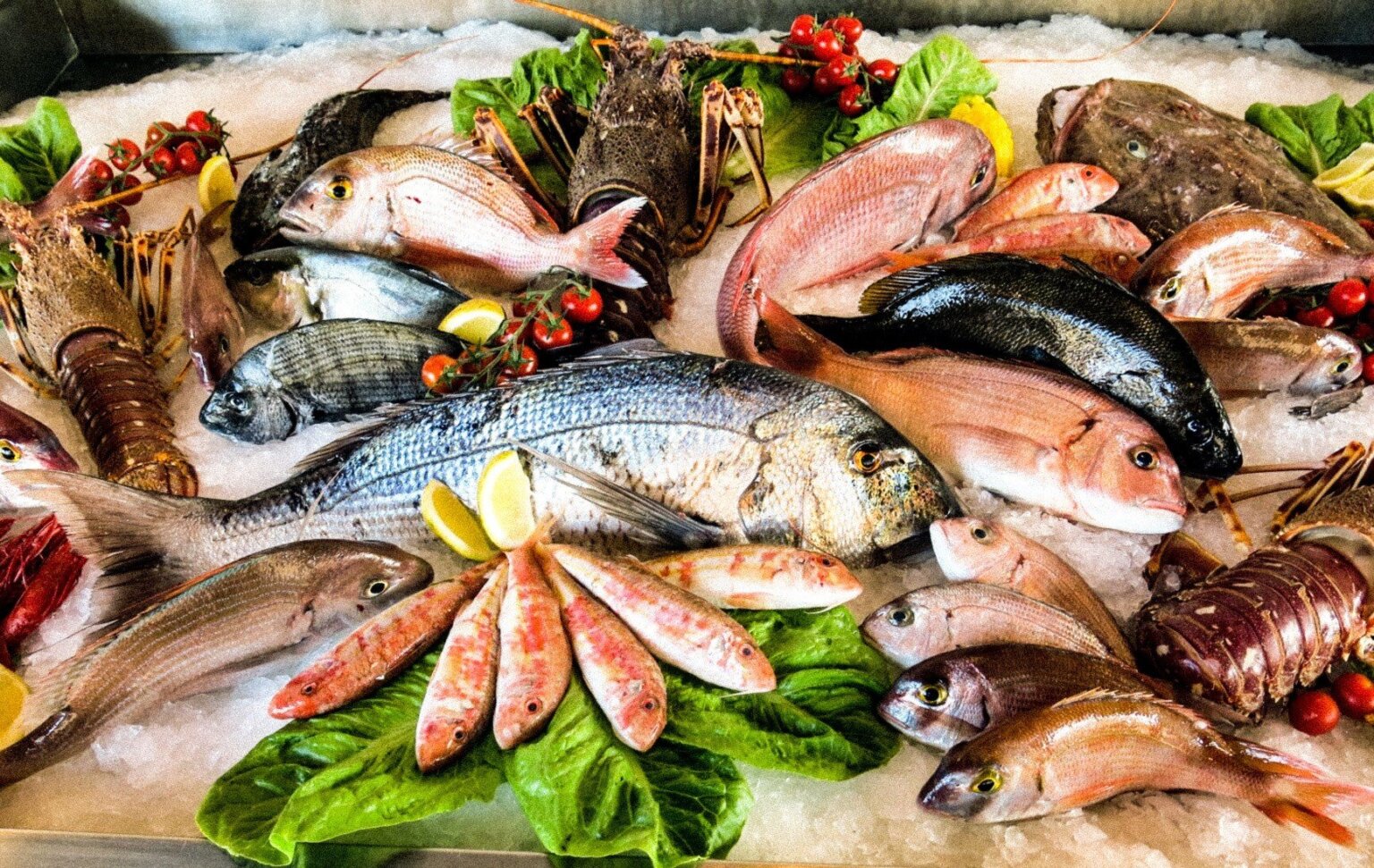 سعر السمك والمأكولات البحرية