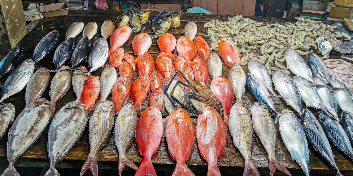 تراجع أسعار السمك