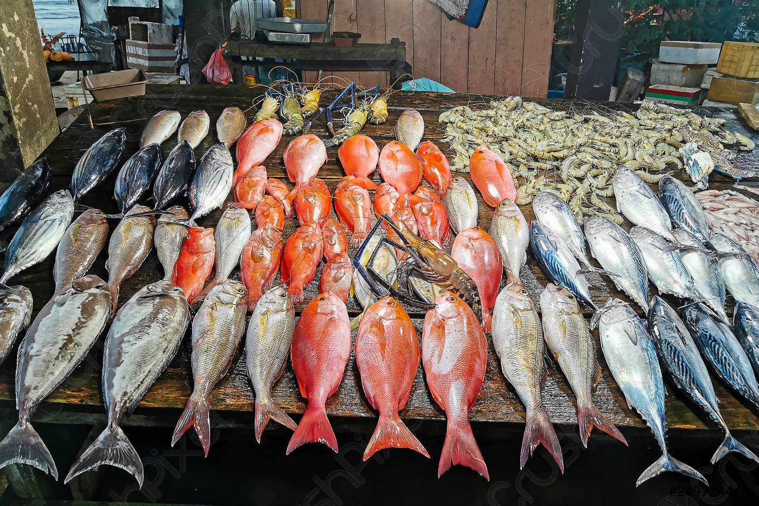 سعر الأسماك والمأكولات البحرية 