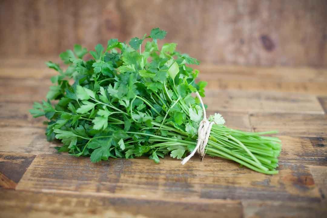 فوائد البقدونس يوميًا مش هاتصدق بيعمل أي 5 خطورة تناول البقدونس