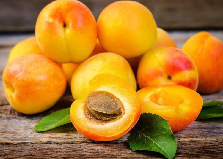 اكتشف قوة المشمش السلاح السري لإنقاص الوزن ومحاربة الإمساك 1 نوى المشمش
