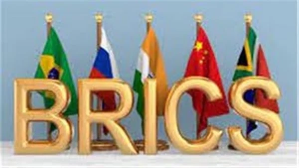 أول تعليق من رئيسة بنك الـبريكس بشأن تقلبات سعر الدولار في مصر 1 بنك الـبريكس
