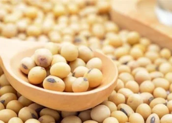 أسرار فول الصويا