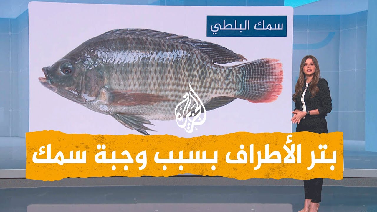 شيرين زكي توضح بكتيريا فى السمك البلطي تتسبب في بتر الأطراف 3 بكتيريا فى السمك البلطي