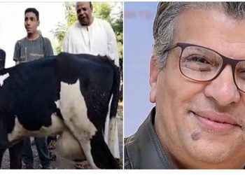 خالد منتصر عن البقرة المبروكة بالبحيرة عمرها 4 شهور كفاية جهل و هطل وهرتلة