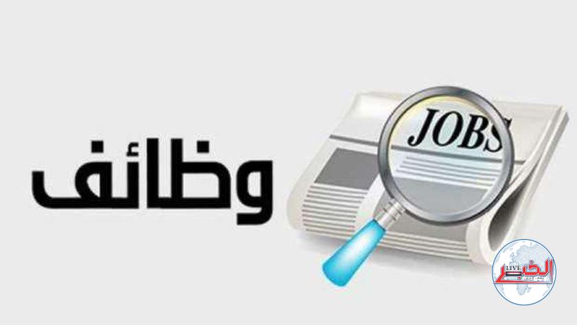 وظائف في سلسلة مطاعم برواتب مجزية وزارة الشباب والرياضة تعلن طريقة التقديم 2 وظائف في سلسلة مطاعم