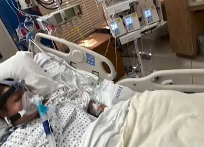 شيرين زكي توضح بكتيريا فى السمك البلطي تتسبب في بتر الأطراف 4 بكتيريا فى السمك البلطي