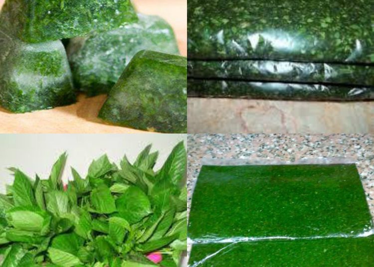 أسهل طريقة لتخزين الملوخية الخضراء زي الجاهزة بالظبط 1 طريقة لتخزين الملوخية الخضراء