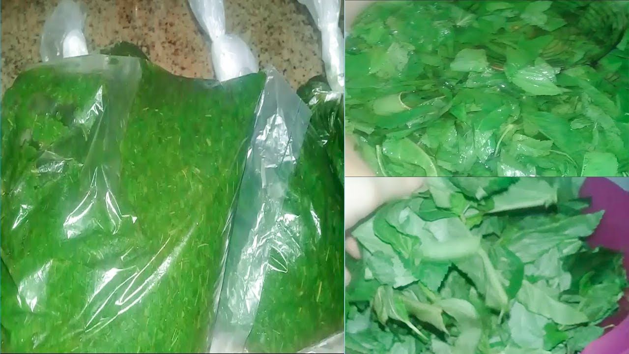 أسهل طريقة لتخزين الملوخية الخضراء زي الجاهزة بالظبط 2 تخزين الملوخية الخضراء