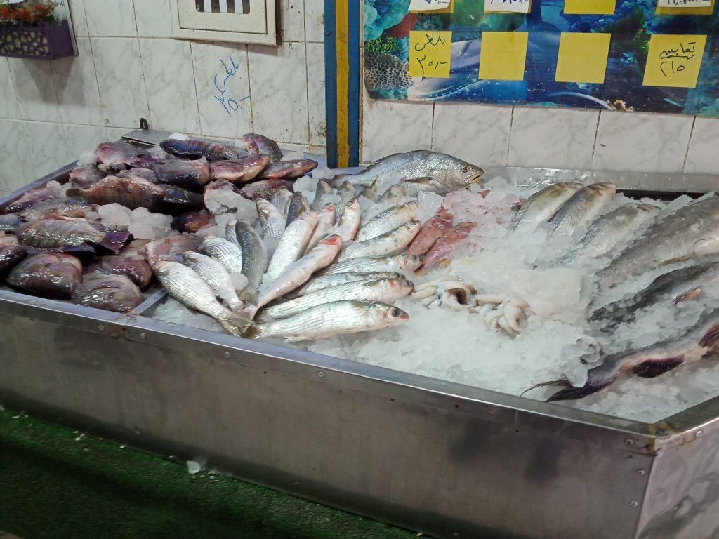 نوع سمك منتشر بالأسواق 