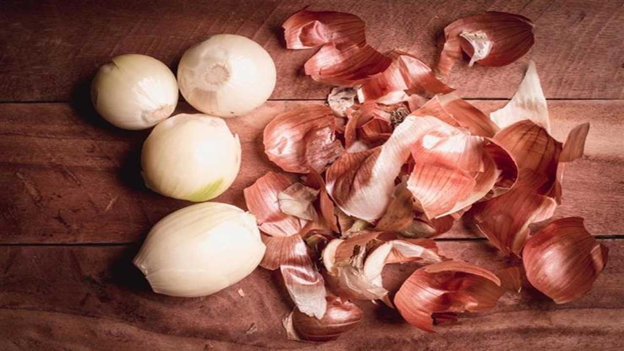 تراجع أسعار البصل والطماطم في الأسواق الشعبة تزف خبر سار 2 أسعار البصل اليوم