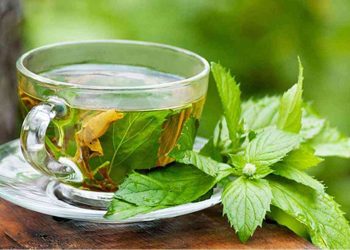 اكتشف سر التخسيس شرب الشاي الأخضر