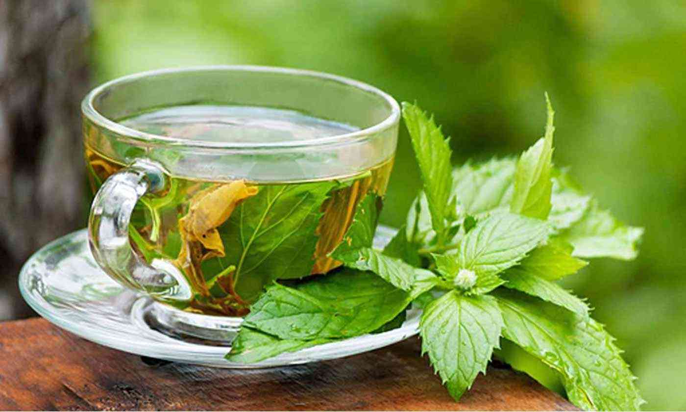 اكتشف سر التخسيس شرب الشاي الأخضر