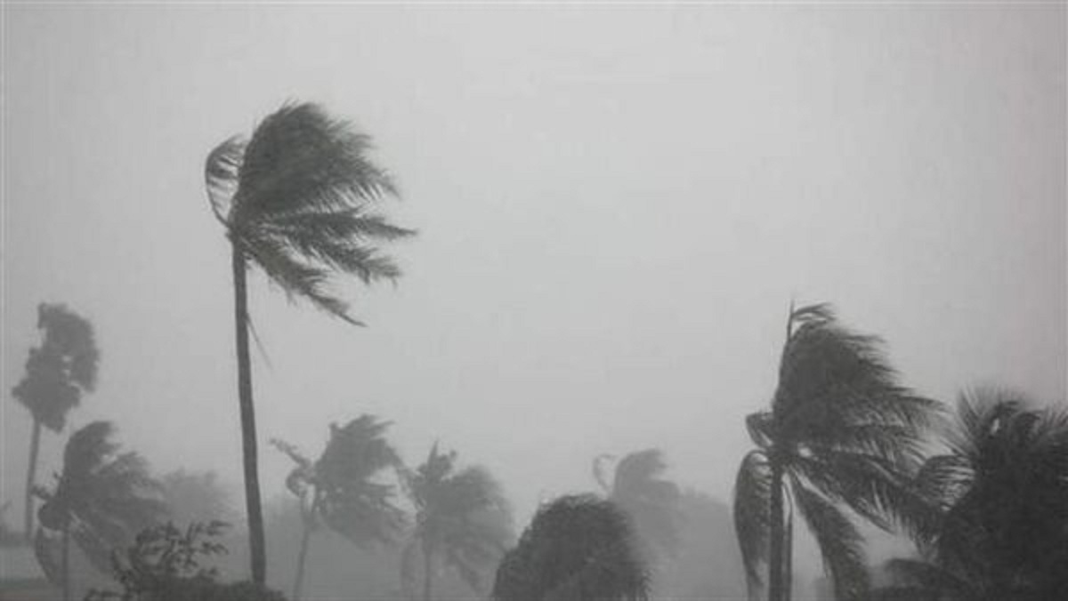 حقيقة ضرب عاصفة التنين خلال الأيام المقبلة لمصر وتهديدها بخسائر كارثية 5 حقيقة ضرب عاصفة التنين لمصر