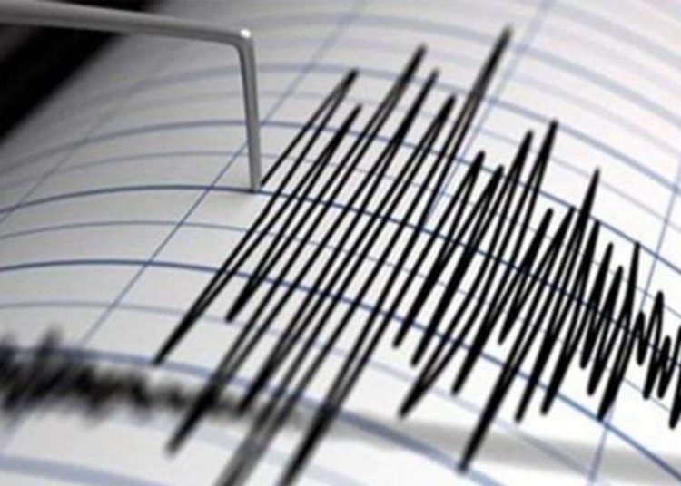 عاجل زلزال يضرب مصر وحقيقة وجود أضرار 1 العالم الهولندي الشهير يطلق تحذير
