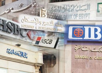 بنوك بمصر تساهم في نشر ثقافة الشمول المالي