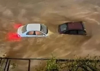 انتظروا عاصفة التنين