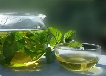 مشروبات من مطبخك تحارب القولون العصبي