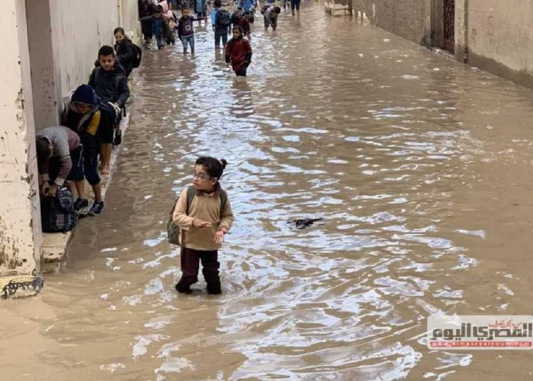 محافظة مصرية تعلن تعطيل الدراسة غدا بسبب توقعات هطول السيول 1 345559201 789167012567126 4796751105152949976 n 180