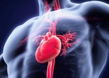 اعرف الأسباب والأعراض احذر دقات القلب السريعة مؤشر على الإصابة بمرض خطير