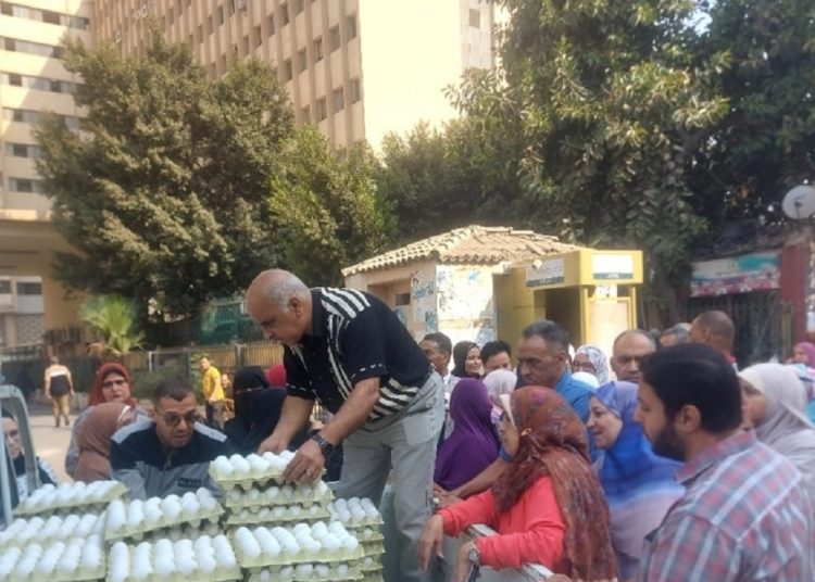 سعر البيض للمواطنين بـ115 جنيه للكرتونة فى 8 منافذ متحركة 1 345559201 789167012567126 4796751105152949976 n 686