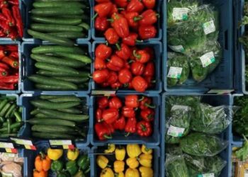 ينتقل من خلال الخضروات طبيبة تحذر من مرض خطير وهذه أعراضه