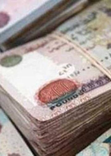 750 جنيه منحة عيد الأضحى لهذه الفئات ممكن تكون واحد منهم 2 منحة عيد الأضحى