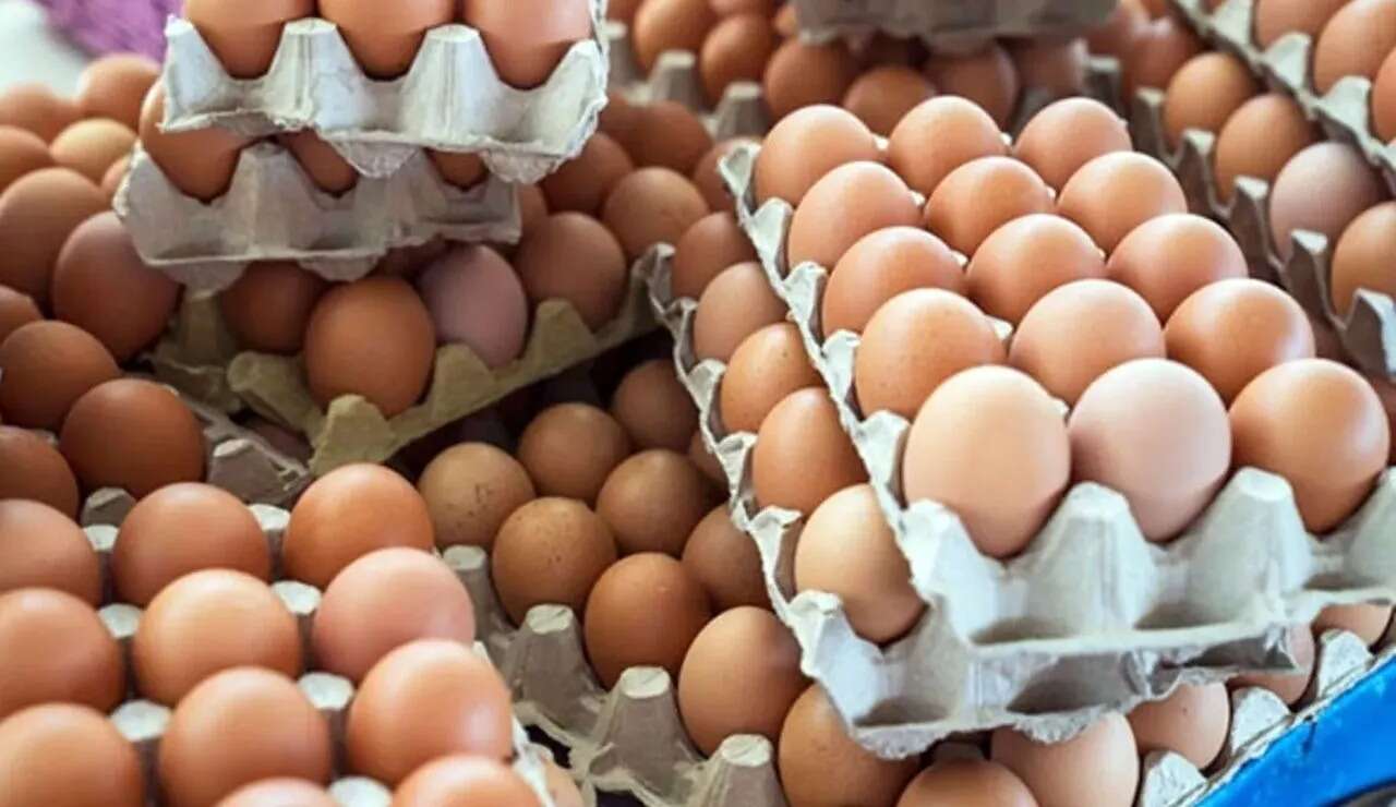 البيض طازج وصحي