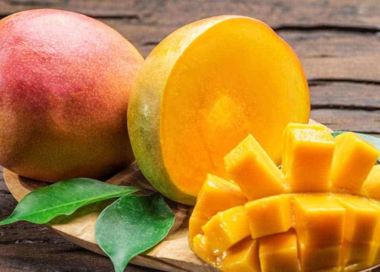أفضل طريقة لتخزين المانجو هتقعد معاكي سنة من غير تغيير في اللون أو الطعم 1 mango larg