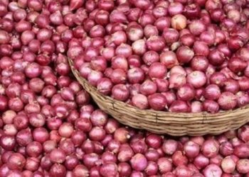 رسميًا إعلان أنتهاء أزمة البصل
