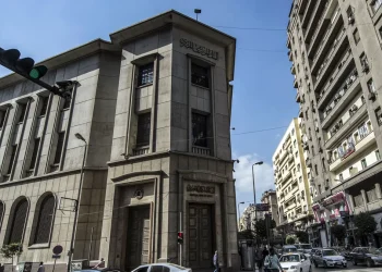 احتياطي النقد الأجنبي في الارتفاع