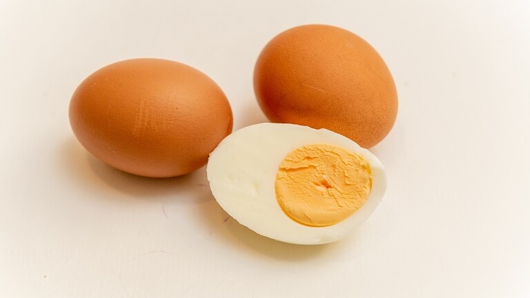 سر في البيض