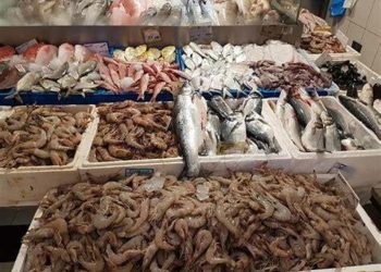 سعر السمك والمأكولات البحرية 12|11|2023 خلال التعاملات اليوم