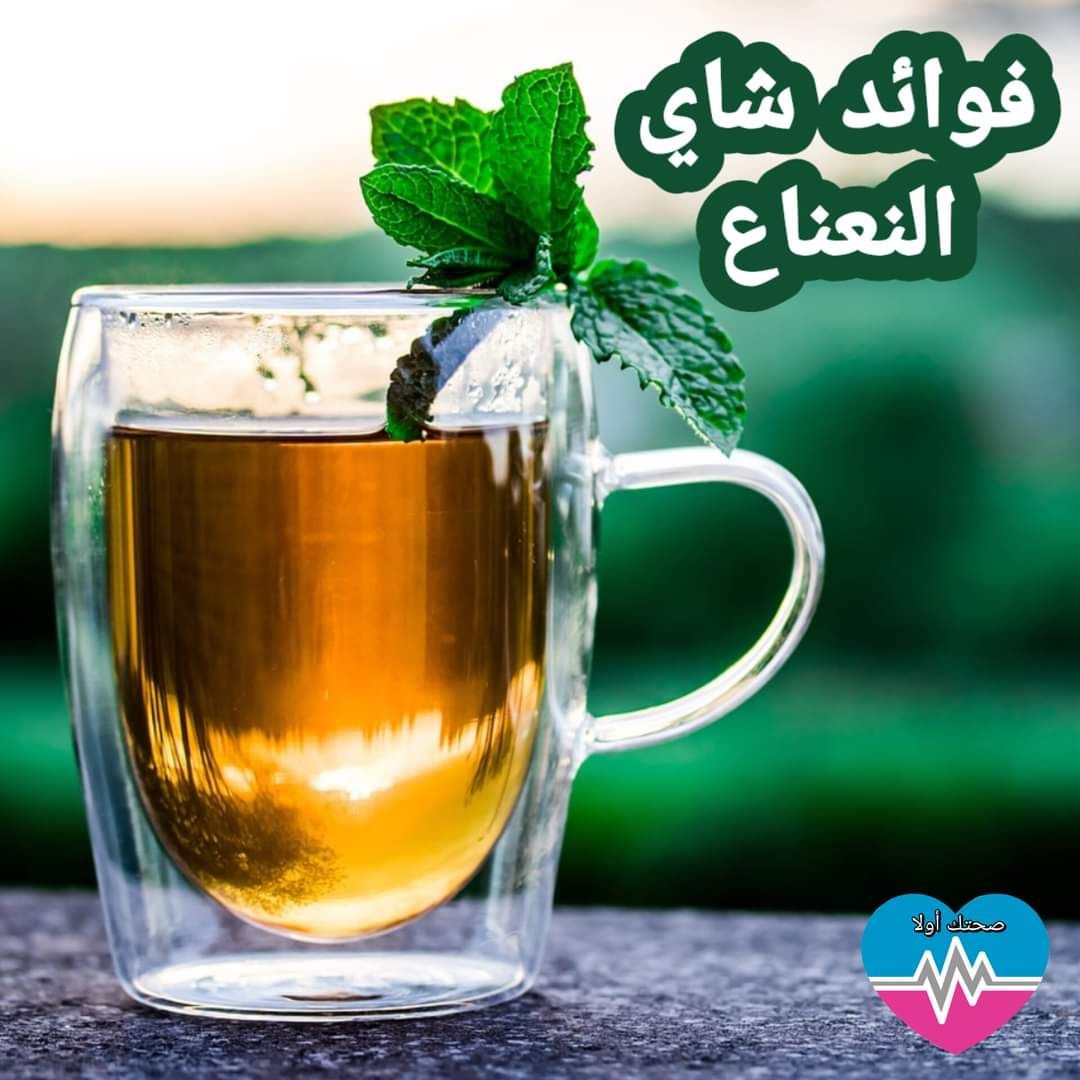 للرجال والنساء كوب من الشاي بالنعناع يوميا لن تصدق ماسيحدث 4 370213949 1744062112775153 1529020548200417293 n 8