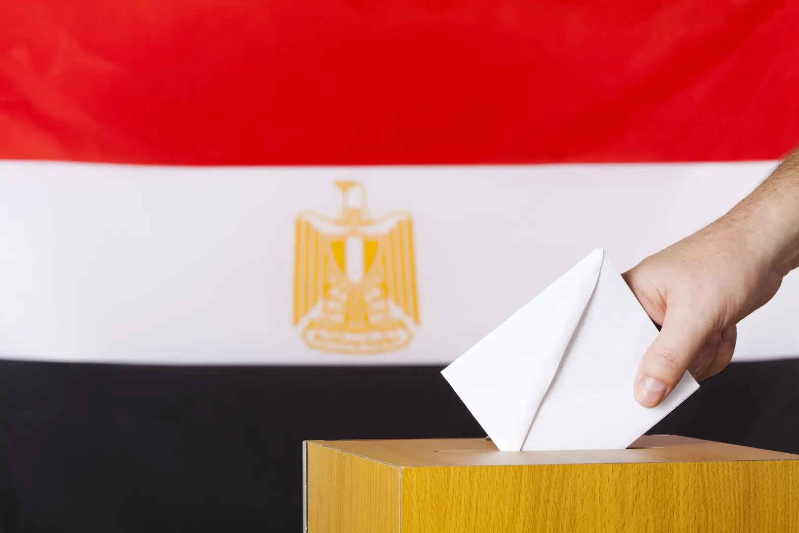 تصريحات البابا تواضروس بشأن الكنيسة والإنتخابات الرئاسية 4 64e254414236046d04789105