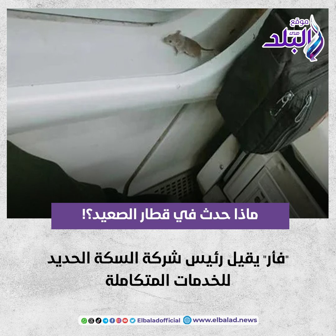 إقالة رئيس شركة السكة الحديد للخدمات المتكاملة بسبب فأر شوف االلى حصل في قطار الصعيد 2 فأر سبب إقالة رئيس السكة الحديد