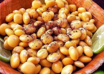 الفوائد الصحية للترمس