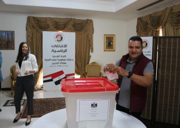 294971 تصويت المصريين فى الخارج