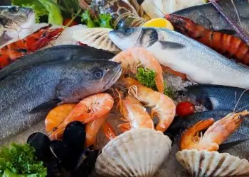 أسعار الأسماك اليوم 9-12-2023 شوف البلطى وصل كام
