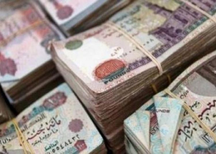 اعرف طريقة تنفيذه في منزلك مشروع مكسبه 50 ألف جنيه كل شهر 1 345559201 789167012567126 4796751105152949976 n 260