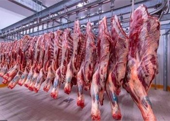 سعر اللحوم اليوم 2-12-2023 في الأسواق و منافذ وزارة التموين شوف الكيلو بكام