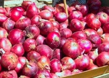 بعد تدخل حكومي وداعا أزمة البصل الكيلو يتراجع 10 جنيه