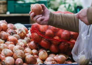 مفاجأة سارة للمواطنين يخص سعر البصل تعلنها وزارة الزراعة