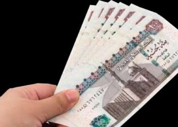 سعر الفائدة على شهادات البنك الأهلي المصري بعد قرار البنك المركزي
