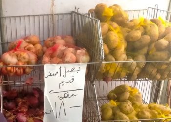 سعر البصل أقل من 20 جنيه في هذه الاماكن التموين تتحدى جشع التجار