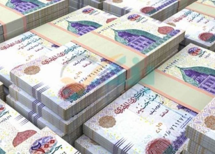 تفاصيل شهادات البنك الأهلي المصري بأعلي عائد سعر الفائدة خرافي 1 345559201 789167012567126 4796751105152949976 n 786