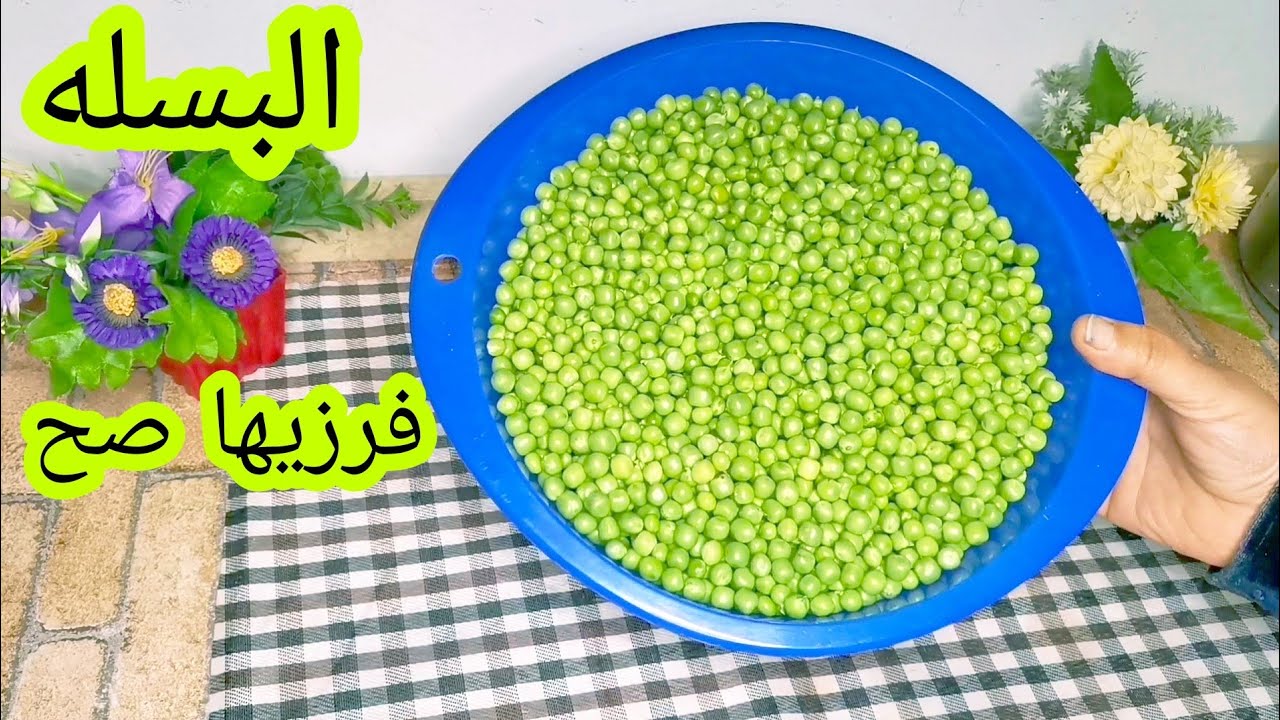 تخزين البسلة بطرق سهلة وهتفضلي تستخدميها لمدة سنة 2 طريقة تخزين البسلة