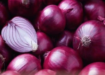 سعر البصل ركب الصاوخ وضرب في العالي شوف الكيلو وصل كام وسبب ارتفاعه