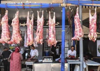 مفاجأة في سعر اللحوم اليوم 10-1-2024 عقب إعلان الزراعة استيراد ماشية